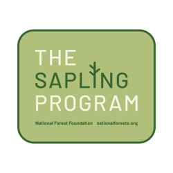SaplingProgram_Badge_Sage SaplingProgram_Badge_Sage